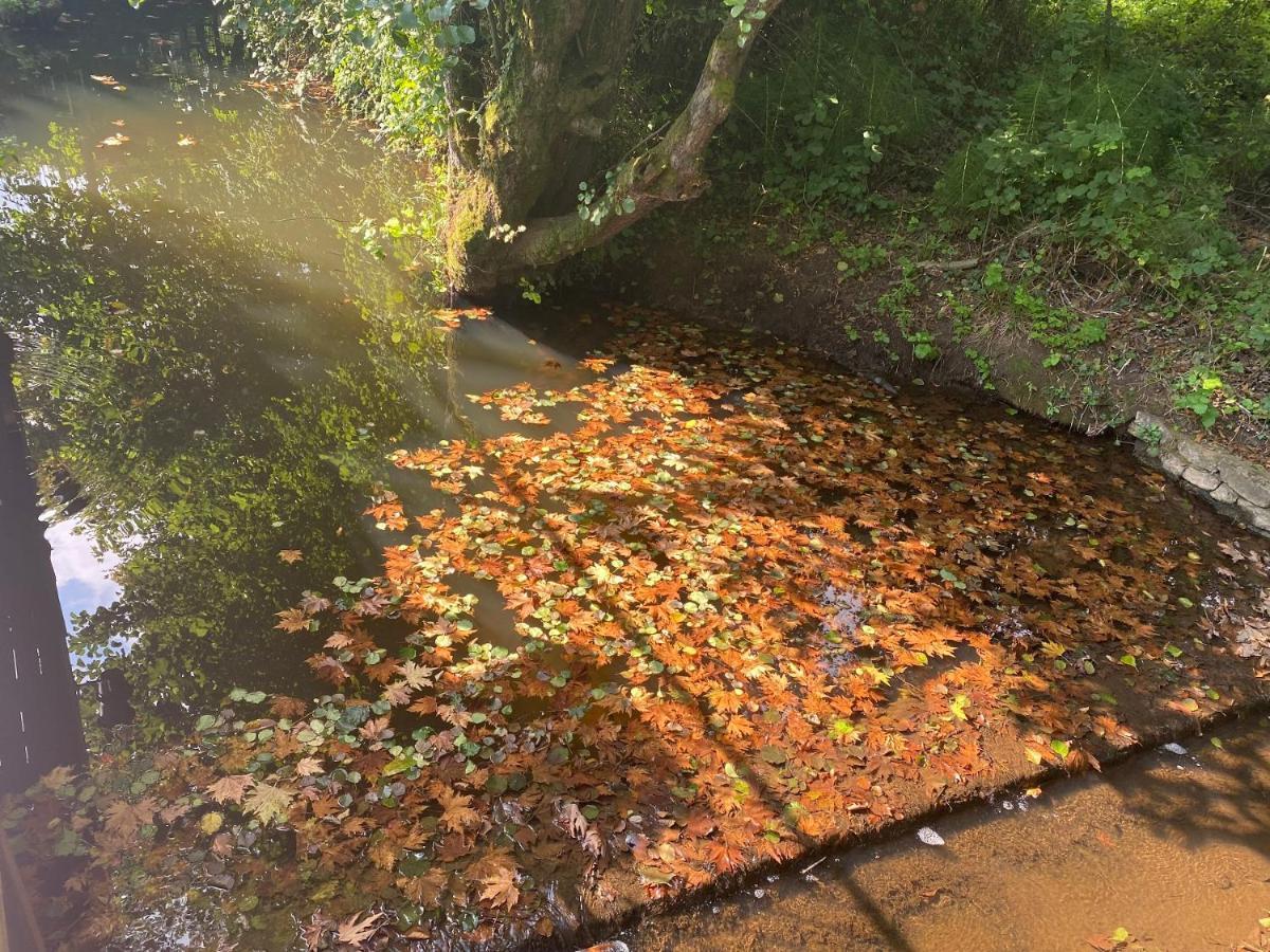 Sarikonaklar Garden Village Ağva Buitenkant foto